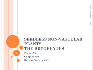 SEEDLESS NON-VASCULAR PLANTS THE BRYOPHYTES