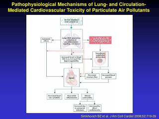 Simkhovich BZ et al. J Am Coll Cardiol 2008;52:719-26