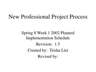 New Professional Project Process