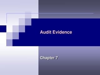 Audit Evidence