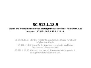 SC.912.L.18.7: Identify reactants, products and basic functions of photosynthesis.