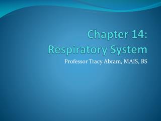Chapter 14: Respiratory System