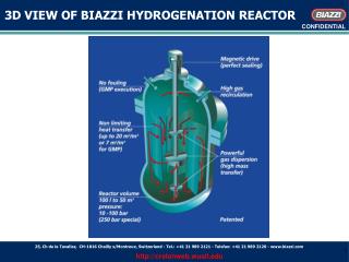 3D VIEW OF BIAZZI HYDROGENATION REACTOR