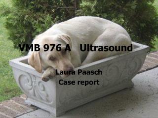 VMB 976 A Ultrasound