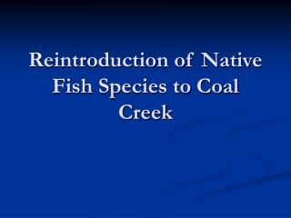 Reintroduction of Native Fish Species to Coal Creek