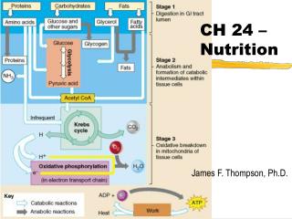 CH 24 – Nutrition