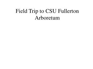 Field Trip to CSU Fullerton Arboretum