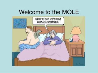 Welcome to the MOLE