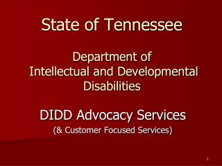 State of Tennessee Department of Intellectual and Developmental Disabilities