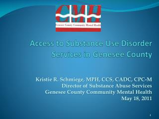 Access to Substance Use Disorder Services in Genesee County
