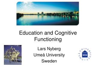 Education and Cognitive Functioning