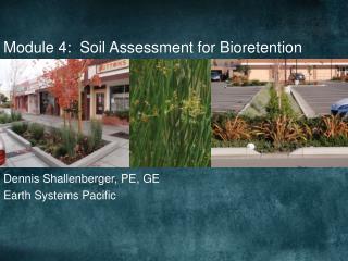 Module 4: Soil Assessment for Bioretention