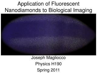 Application of Fluorescent Nanodiamonds to Biological Imaging