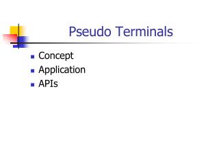 Pseudo Terminals