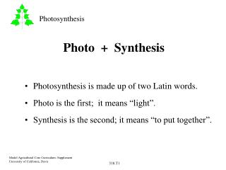 Photo + Synthesis