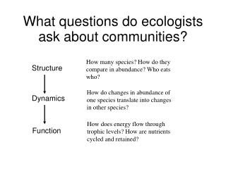 What questions do ecologists ask about communities?