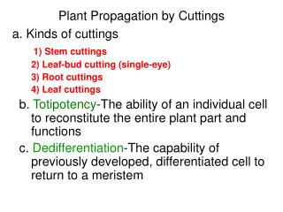 Plant Propagation by Cuttings