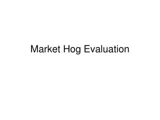 Market Hog Evaluation