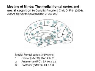 Medial Frontal cortex: 3 divisions Orbital (orMFC): BA 14 &amp; 25 Anterior (arMFC): BA 10 &amp; 32