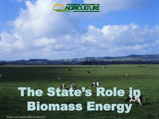 The State’s Role in Biomass Energy