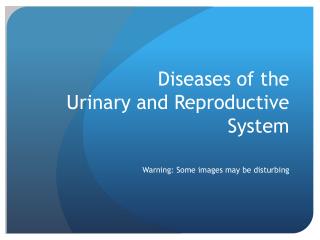 Diseases of the Urinary and Reproductive System
