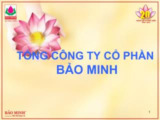 TỔNG CÔNG TY CỔ PHẦN BẢO MINH