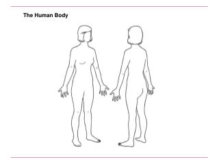 The Human Body