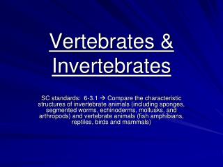 Vertebrates &amp; Invertebrates
