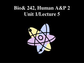 Bio&amp; 242, Human A&amp;P 2 Unit 1/Lecture 5