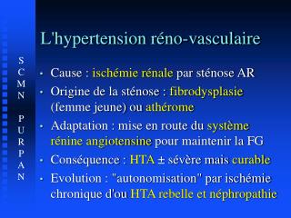 L'hypertension réno-vasculaire
