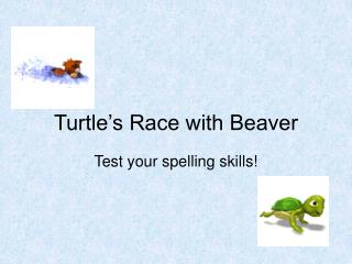 Turtle’s Race with Beaver
