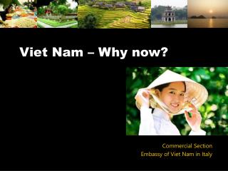 Viet Nam – Why now?