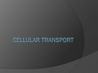Cellular Transport