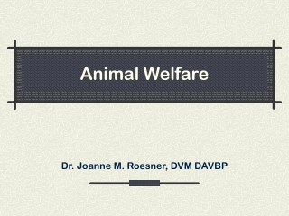 Animal Welfare