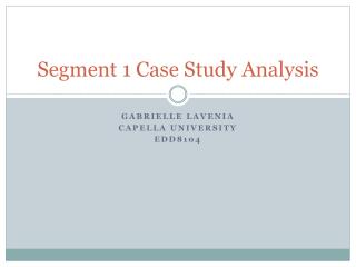 Segment 1 Case Study Analysis