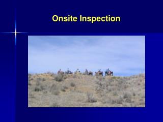 Onsite Inspection