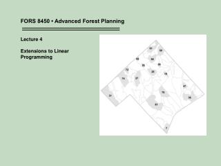FORS 8450 • Advanced Forest Planning Lecture 4 Extensions to Linear Programming