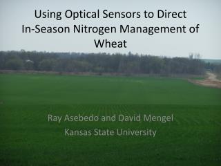 Using Optical Sensors to Direct In-Season Nitrogen Management of Wheat