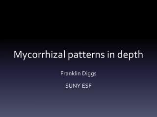 Mycorrhizal patterns in depth