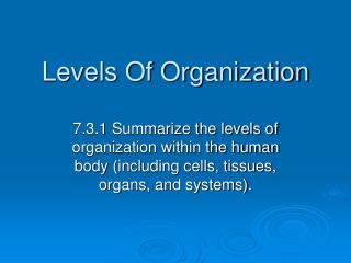 Levels Of Organization