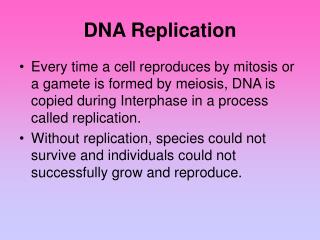 DNA Replication