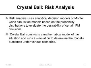 Crystal Ball: Risk Analysis