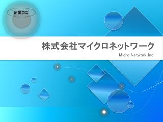 株式会社マイクロネットワーク