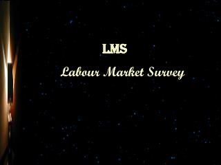 Labour Market Survey