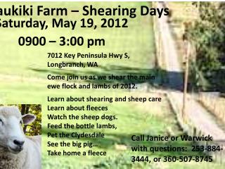Kaukiki Farm – Shearing Days