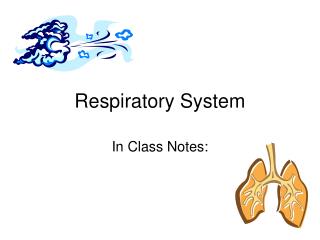 Respiratory System