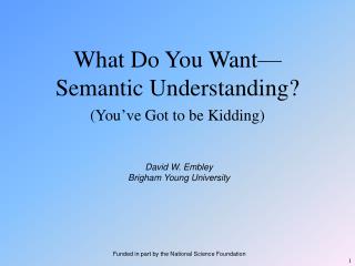 What Do You Want —Semantic Understanding?