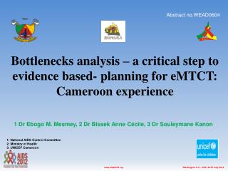 Bottlenecks analysis – a critical step to evidence based- planning for eMTCT: Cameroon experience