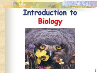 Introduction to Biology