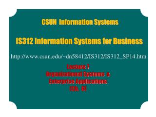 IS312 Information Systems for Business